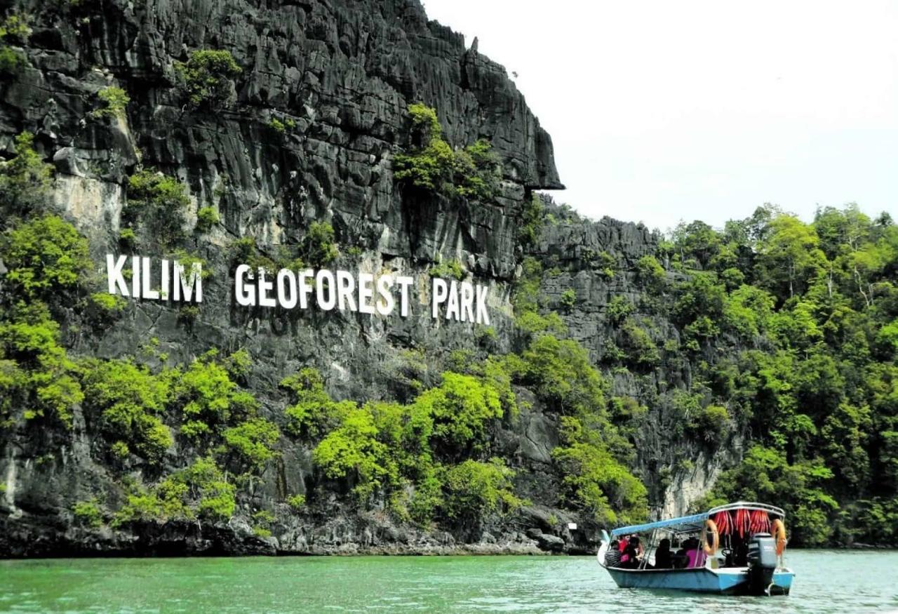 Jelajahi Keindahan Hutan Mangrove Langkawi dengan Mangrove Tour